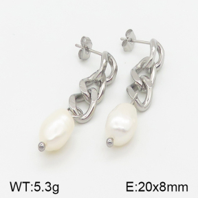 Stainless Steel Earrings  5E3000519vbmb-259