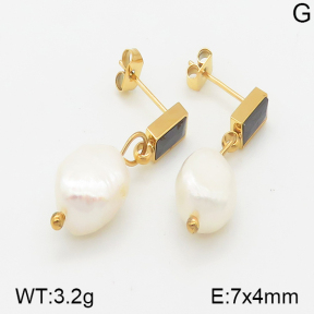 Stainless Steel Earrings  5E3000520vbnb-259