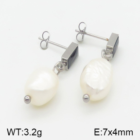 Stainless Steel Earrings  5E3000521vbmb-259