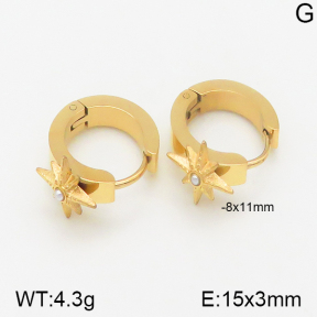 Stainless Steel Earrings  5E3000522bhva-259