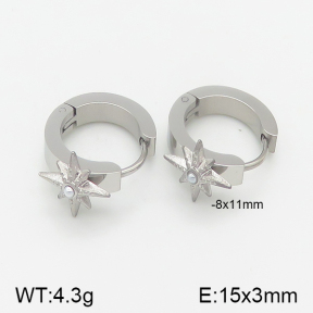 Stainless Steel Earrings  5E3000523vbpb-259