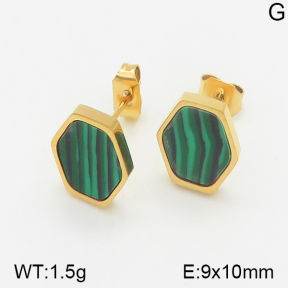 Stainless Steel Earrings  5E4001115vbmb-259