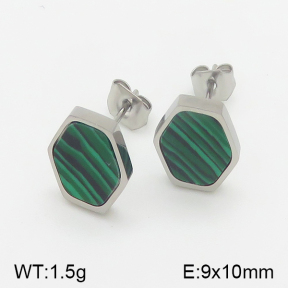 Stainless Steel Earrings  5E4001116ablb-259