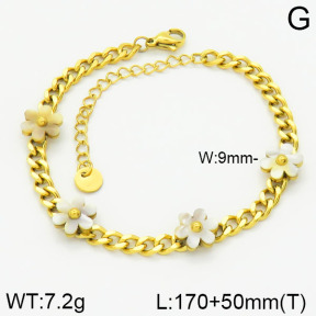 Stainless Steel Bracelet  2B4001547bhia-662