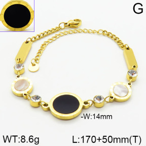 Stainless Steel Bracelet  2B4001549bhia-662