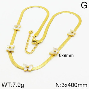 Stainless Steel Necklace  2N4000869ahjb-662