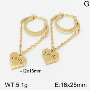 Stainless Steel Earrings  5E2001394aajl-472