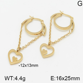 Stainless Steel Earrings  5E2001395aajl-472