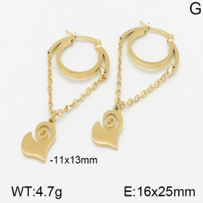 Stainless Steel Earrings  5E2001401aajl-472