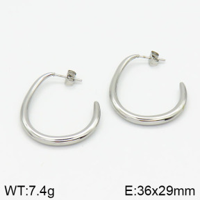 Stainless Steel Earrings  2E2000989abol-379