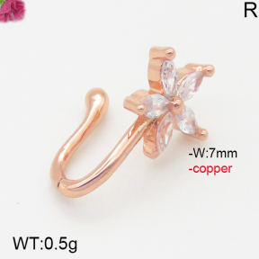 Fashion Copper Earrings  F5E400737aajl-J147