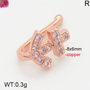 Fashion Copper Earrings  F5E400764aajl-J147