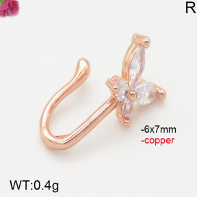 Fashion Copper Earrings  F5E400772aajl-J147