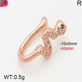 Fashion Copper Earrings  F5E400824aajl-J147