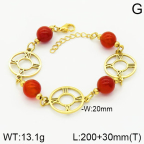 Stainless Steel Bracelet  2B4001615vbnl-464