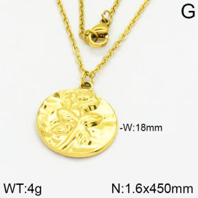 Stainless Steel Necklace  2N2001335vbpb-666