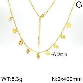 Stainless Steel Necklace  2N2001348bbov-413