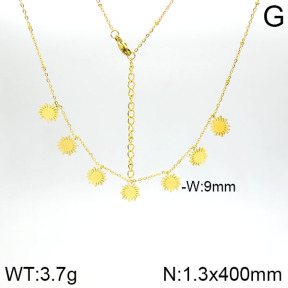 Stainless Steel Necklace  2N2001353bbov-413