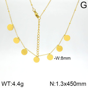 Stainless Steel Necklace  2N2001355vbnb-413