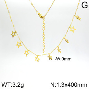 Stainless Steel Necklace  2N2001356bbov-413