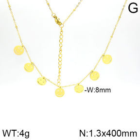Stainless Steel Necklace  2N2001359vbnb-413