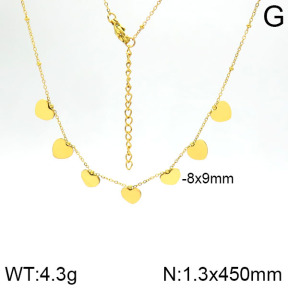 Stainless Steel Necklace  2N2001361vbnb-413