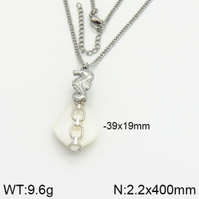 Stainless Steel Necklace  2N3000674ahjb-666