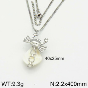Stainless Steel Necklace  2N3000678ahjb-666