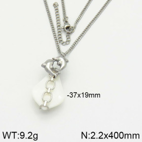 Stainless Steel Necklace  2N3000679ahjb-666