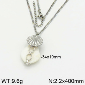 Stainless Steel Necklace  2N3000680ahjb-666