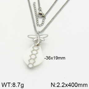 Stainless Steel Necklace  2N3000681ahjb-666
