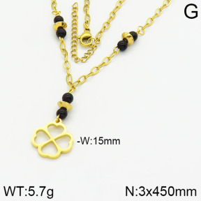 Stainless Steel Necklace  2N4000887bhva-666