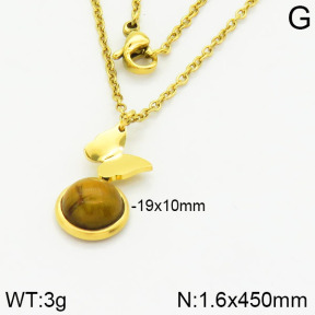 Stainless Steel Necklace  2N4000888bhva-666