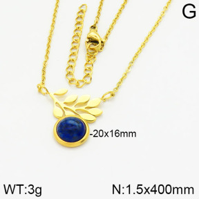 Stainless Steel Necklace  2N4000890ahjb-666