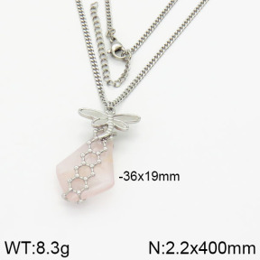 Stainless Steel Necklace  2N4000905ahjb-666
