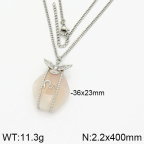 Stainless Steel Necklace  2N4000907ahjb-666