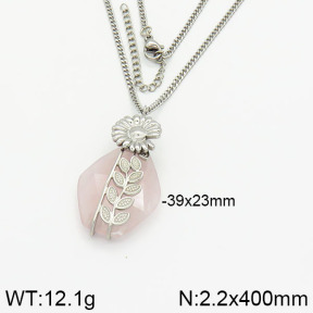 Stainless Steel Necklace  2N4000908ahjb-666