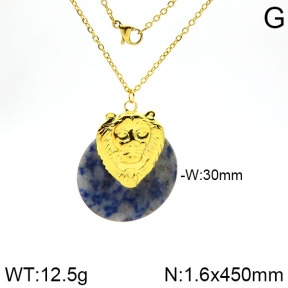 Stainless Steel Necklace  2N4000916vhnv-666