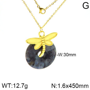 Stainless Steel Necklace  2N4000935vhnv-666