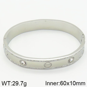 SS Bangles  TZ2000101ahjb-434