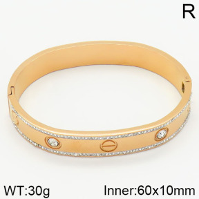 SS Bangles  TZ2000102ahlv-434