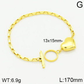 Stainless Steel Bracelet  2B2001201vbnl-434