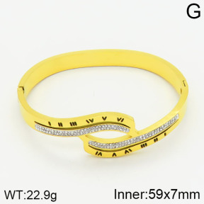 Stainless Steel Bangle  2BA400514ahlv-434