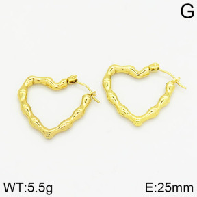 Stainless Steel Earrings  2E2000993vajj-689