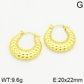 Stainless Steel Earrings  2E2000994vajj-689