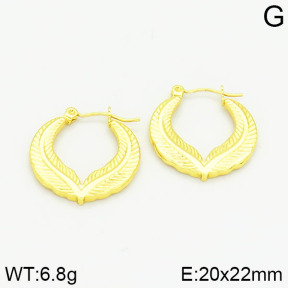 Stainless Steel Earrings  2E2000998vajj-689