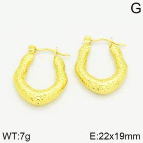 Stainless Steel Earrings  2E2000999vajj-689