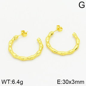 Stainless Steel Earrings  2E2001001vajj-689