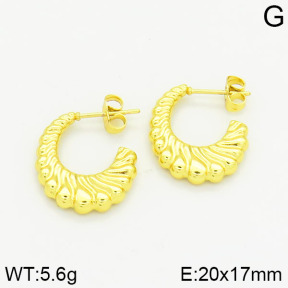 Stainless Steel Earrings  2E2001005vajj-689