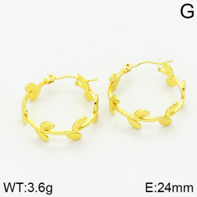 Stainless Steel Earrings  2E2001006vajj-689